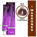 Coloration Question Professional – 8.2 Malva Rubio Claro