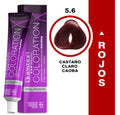 Coloration Question Professional – 5.6 Caoba Castaño Claro