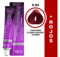 Coloration  Question professional / 5.65 – Castaño Claro Rojizo Caoba