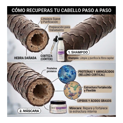 Sistema Reparación y Control de Frizz – Keratin Lift