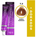 Coloration  Question professional /7.3 Rubio Dorado