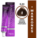 Coloration Question Professional – 6.23 Marrón Frío Rubio Oscuro